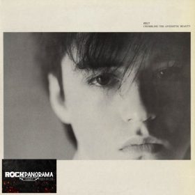 Felt - Crumbling The Antiseptic Beauty (LP)