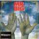 Mr. Big - Ten (CD)