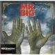 Mr. Big - Ten (LP)