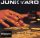 Junkyard - Sixes, Sevens & Nines (CD)