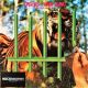 Tygers Of Pan Tang - The Cage (LP)