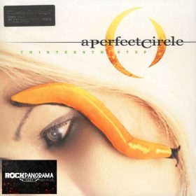 A Perfect Circle - Thirteenth Step (LP)