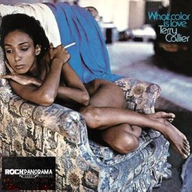 Terry Callier - What Color Is Love (LP)