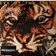 Survivor - Eye Of The Tiger (LP)